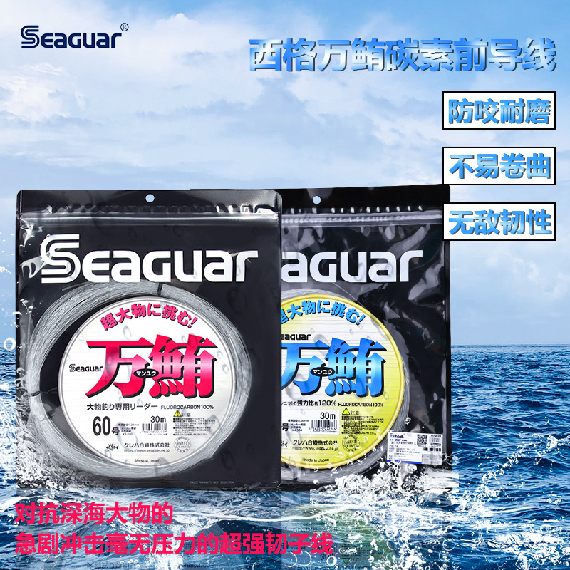 Original Seaguar 100% Fluoroca - Fluorocarbon Line recensione e prezzo